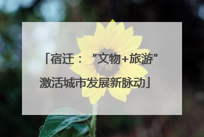 宿迁：“文物+旅游”激活城市发展新脉动