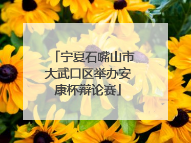 宁夏石嘴山市大武口区举办安康杯辩论赛