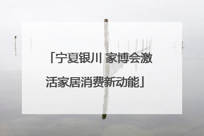 宁夏银川 家博会激活家居消费新动能