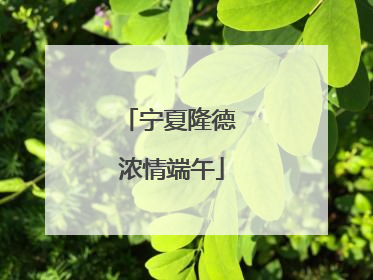 宁夏隆德 浓情端午
