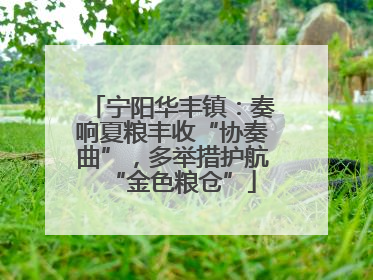 宁阳华丰镇：奏响夏粮丰收“协奏曲”，多举措护航“金色粮仓”