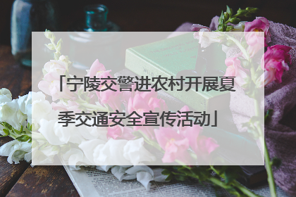 宁陵交警进农村开展夏季交通安全宣传活动