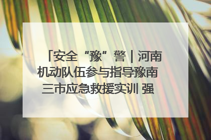 安全“豫”警｜河南机动队伍参与指导豫南三市应急救援实训 强化协同作战效能