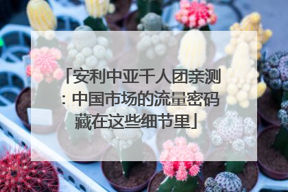 安利中亚千人团亲测：中国市场的流量密码 藏在这些细节里
