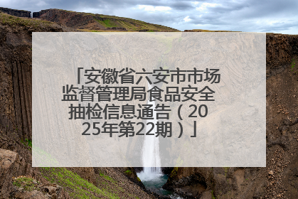 安徽省六安市市场监督管理局食品安全抽检信息通告（2025年第22期）