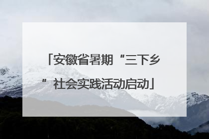 安徽省暑期“三下乡”社会实践活动启动
