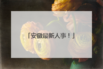 安徽最新人事！