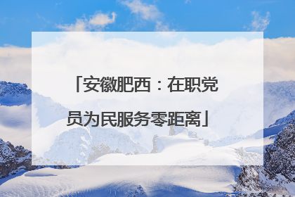安徽肥西：在职党员为民服务零距离