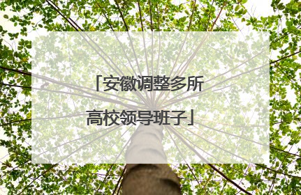 安徽调整多所高校领导班子