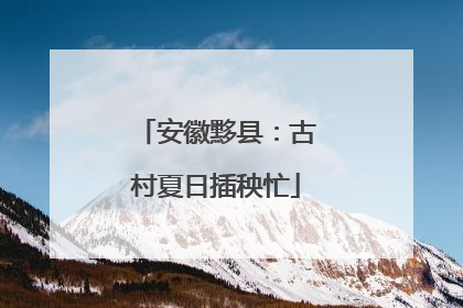 安徽黟县：古村夏日插秧忙