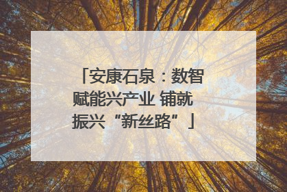 安康石泉：数智赋能兴产业 铺就振兴“新丝路”
