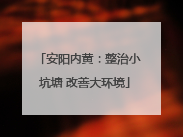 安阳内黄：整治小坑塘 改善大环境