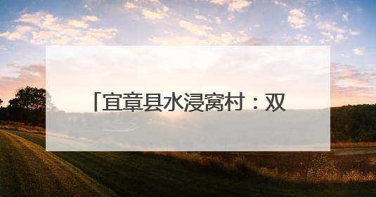 宜章县水浸窝村：双物流按下“加速键” 杨梅锁住“枝头鲜”