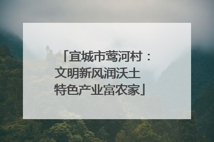 宜城市莺河村：文明新风润沃土 特色产业富农家