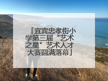 宜宾忠孝街小学第三届“艺术之星”艺术人才大赛圆满落幕