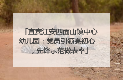 宜宾江安四面山镇中心幼儿园：党员引领亮初心，先锋示范做表率