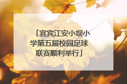 宜宾江安小坝小学第五届校园足球联赛顺利举行