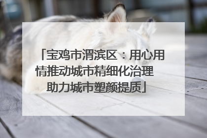 宝鸡市渭滨区：用心用情推动城市精细化治理 助力城市塑颜提质