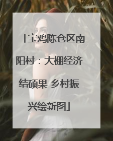 宝鸡陈仓区南阳村：大棚经济结硕果 乡村振兴绘新图