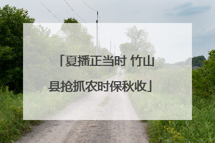 夏播正当时 竹山县抢抓农时保秋收