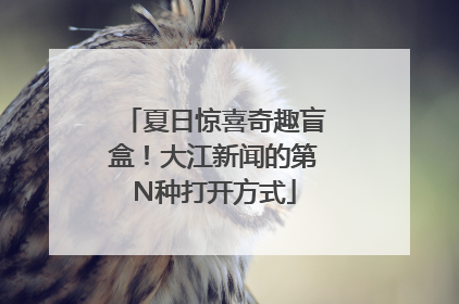 夏日惊喜奇趣盲盒！大江新闻的第N种打开方式