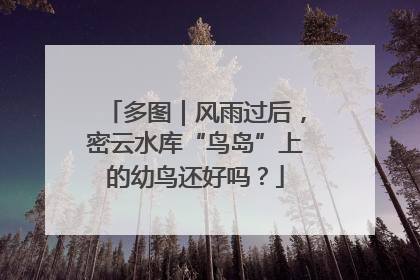 多图｜风雨过后，密云水库“鸟岛”上的幼鸟还好吗？
