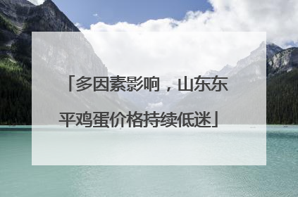 多因素影响，山东东平鸡蛋价格持续低迷