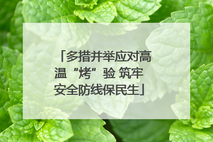 多措并举应对高温“烤”验 筑牢安全防线保民生
