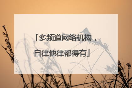 多频道网络机构，自律他律都得有