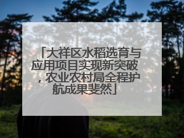 大祥区水稻选育与应用项目实现新突破，农业农村局全程护航成果斐然