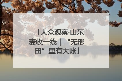 大众观察·山东麦收一线｜“无形田”里有大账
