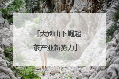 大别山下崛起茶产业新势力