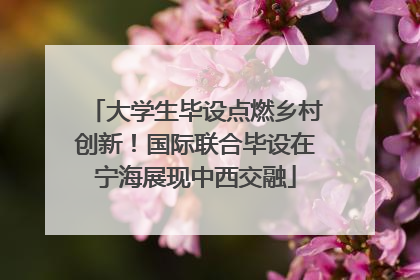 大学生毕设点燃乡村创新！国际联合毕设在宁海展现中西交融
