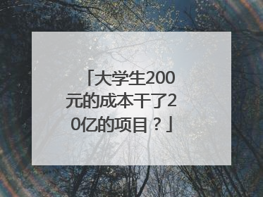 大学生200元的成本干了20亿的项目？