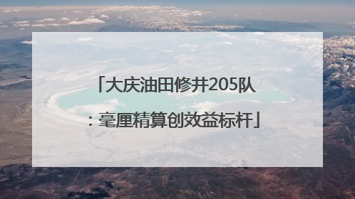 大庆油田修井205队：毫厘精算创效益标杆