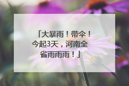 大暴雨！带伞！今起3天，河南全省雨雨雨！
