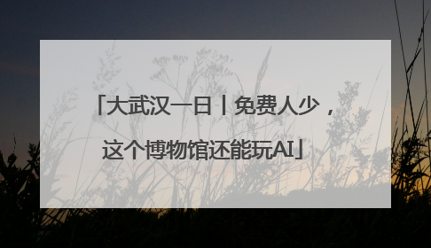 大武汉一日丨免费人少，这个博物馆还能玩AI