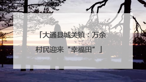 大通县城关镇：万余村民迎来“幸福田”