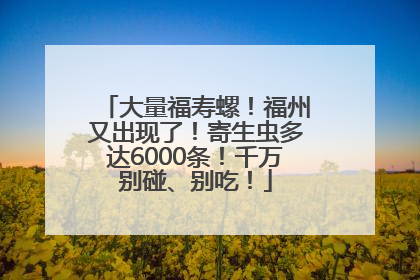 大量福寿螺！福州又出现了！寄生虫多达6000条！千万别碰、别吃！