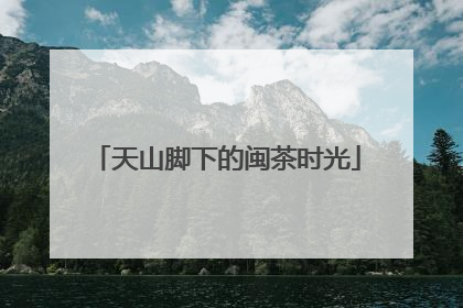 天山脚下的闽茶时光