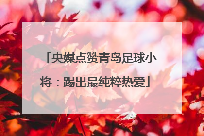 央媒点赞青岛足球小将：踢出最纯粹热爱