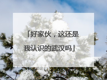 好家伙，这还是我认识的武汉吗
