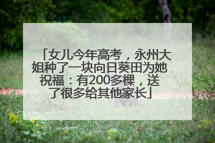 女儿今年高考，永州大姐种了一块向日葵田为她祝福：有200多棵，送了很多给其他家长