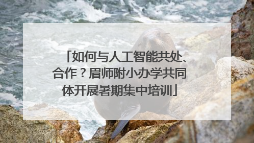 如何与人工智能共处、合作？眉师附小办学共同体开展暑期集中培训