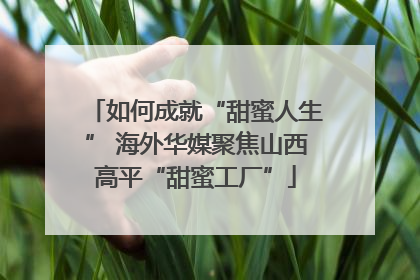 如何成就“甜蜜人生” 海外华媒聚焦山西高平“甜蜜工厂”