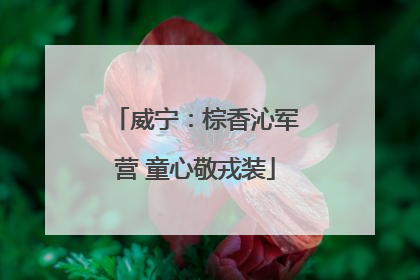 威宁：棕香沁军营 童心敬戎装