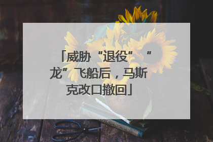 威胁“退役”“龙”飞船后，马斯克改口撤回