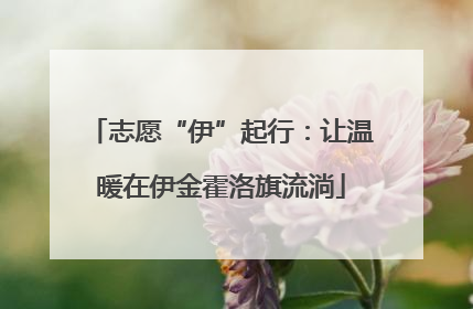 志愿“伊”起行：让温暖在伊金霍洛旗流淌