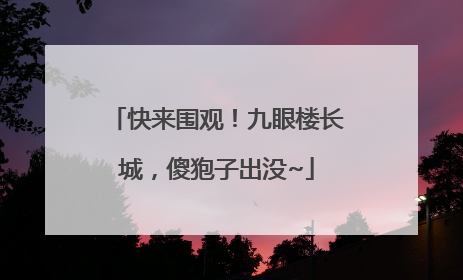 快来围观！九眼楼长城，傻狍子出没~