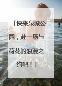 快来泉城公园，赴一场与荷花的浪漫之约吧！